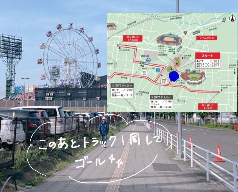 仙台国際ハーフマラソン　コース　試走