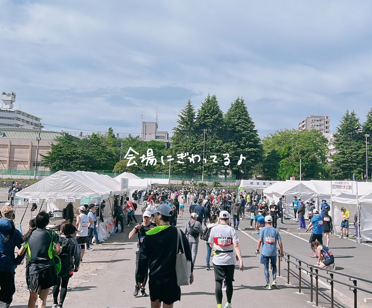 仙台国際ハーフマラソンコース
