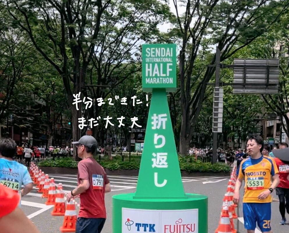 仙台国際ハーフマラソンコース