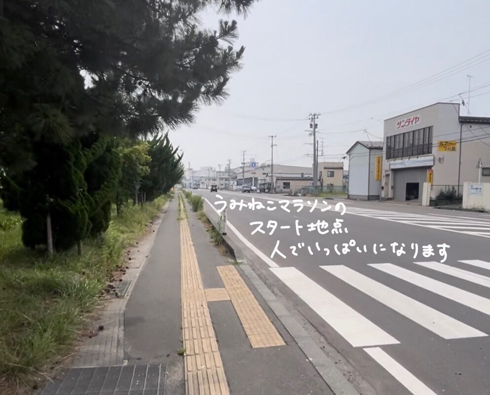 青森　ランニングコース　八戸　蕪島　八戸うみねこマラソンコース　旅ラン