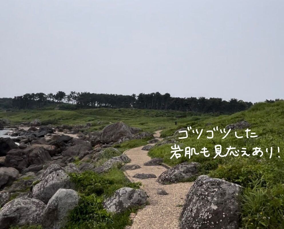 青森　ランニングコース　八戸　蕪島　八戸うみねこマラソンコース　旅ラン