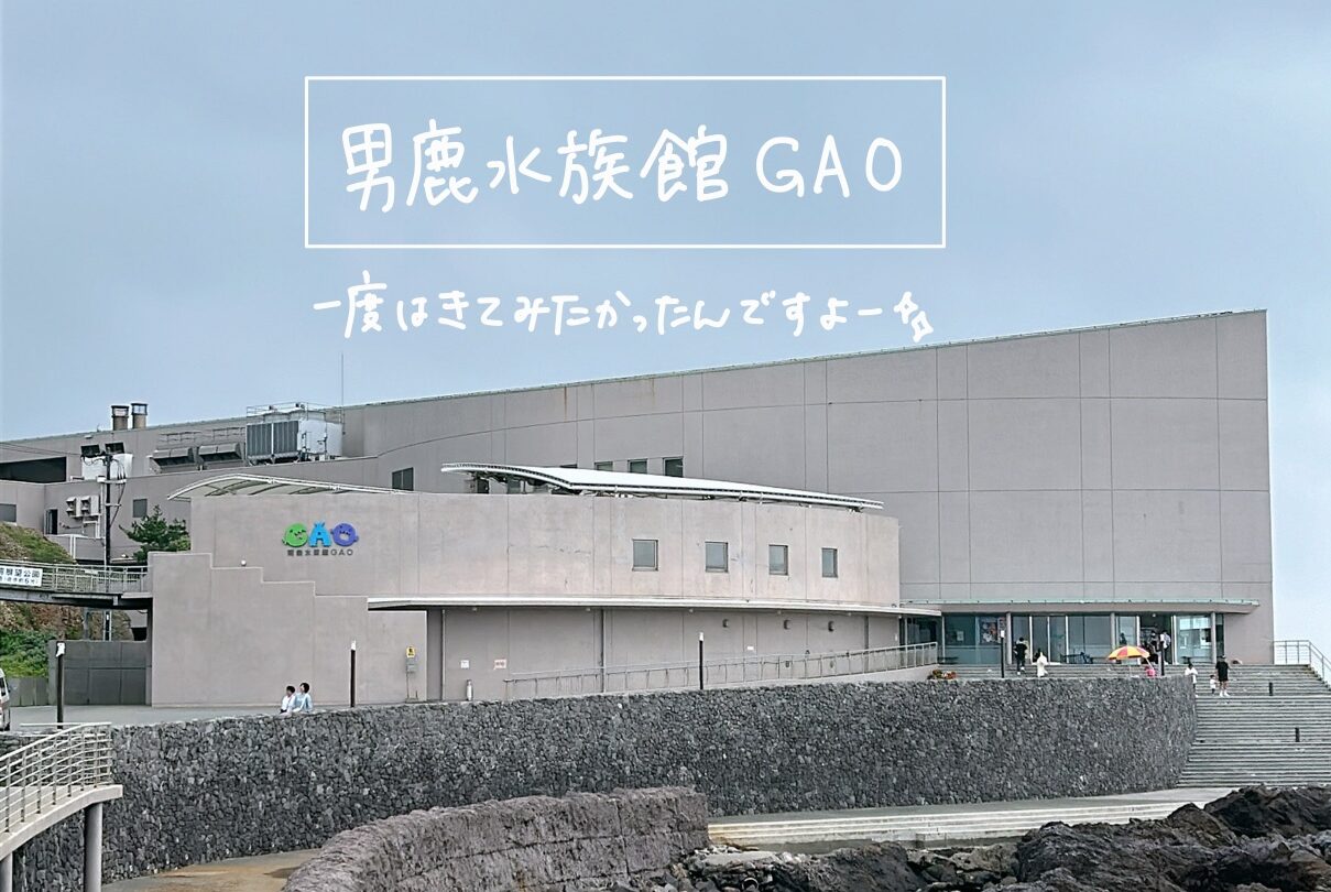 日本海メロンマラソン大会　男鹿水族館GAO