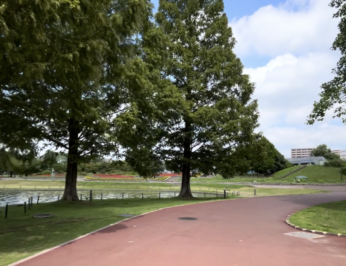 仙台　ランニングコース　七北田公園