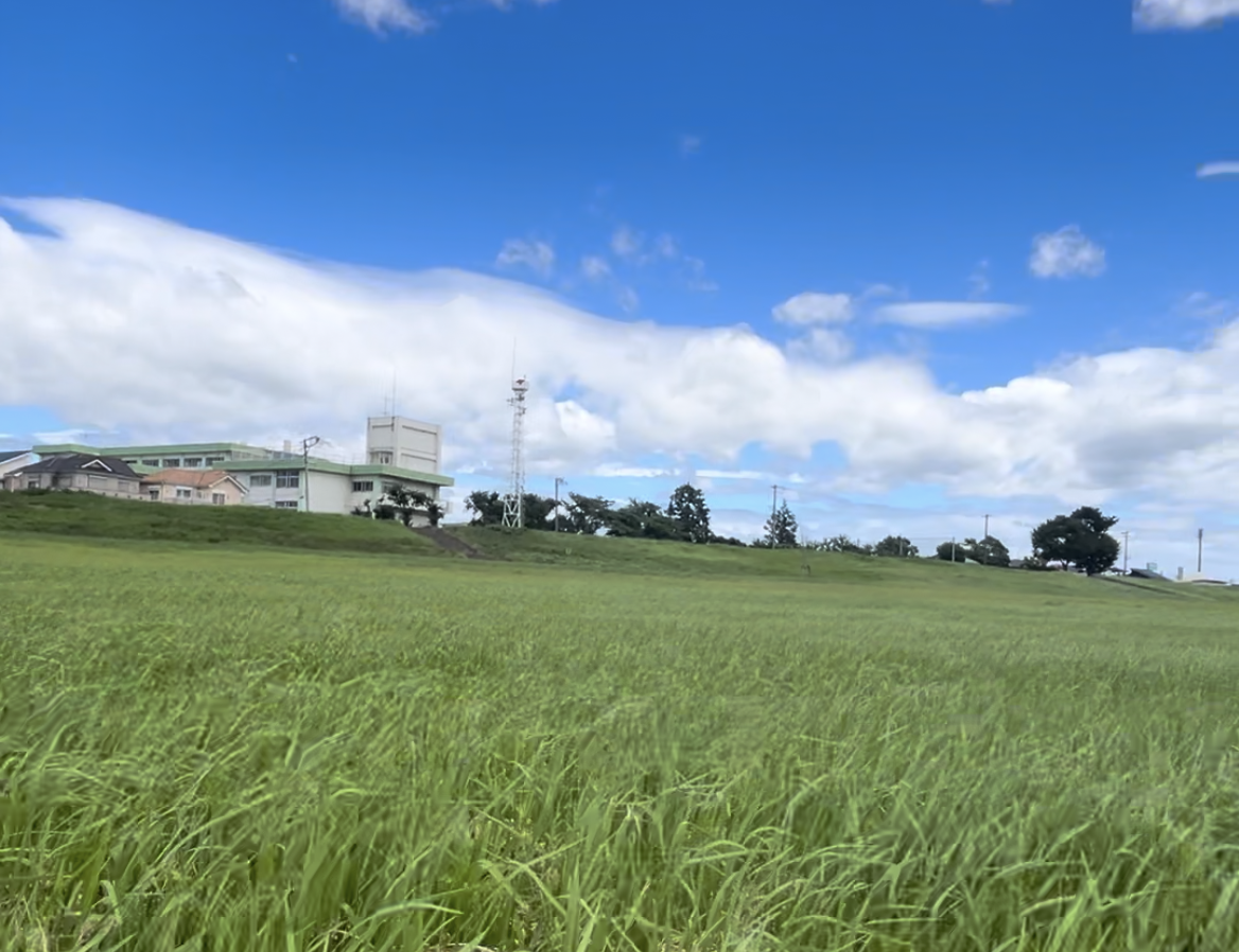 宮城ランニングコース　広瀬川若林緑地