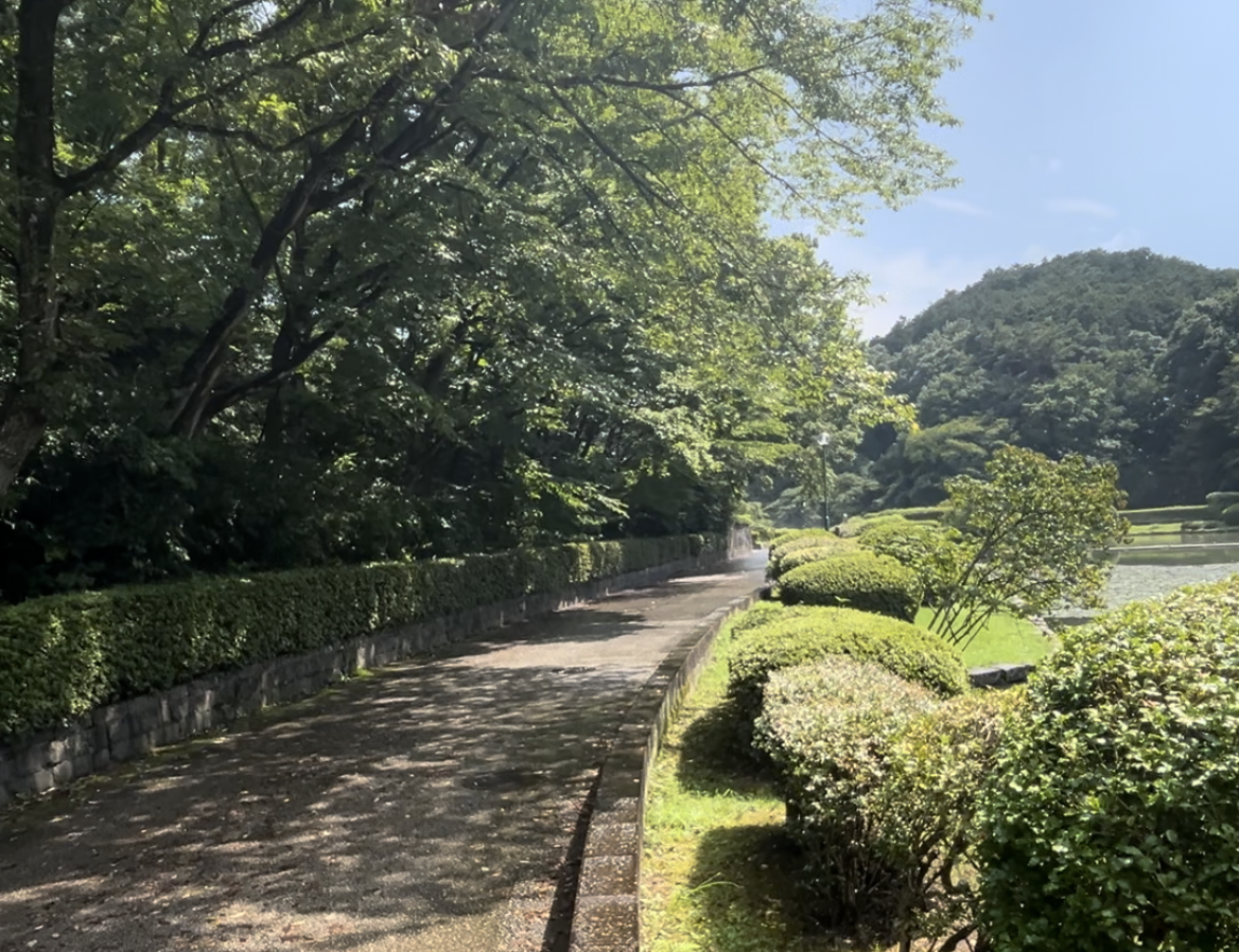 宮城　ランニングコース　ランニング日記　ブログ　台原森林公園