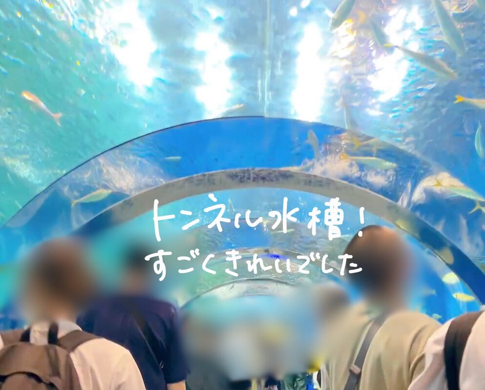 青森　ランニングコース　旅ラン　浅虫水族館