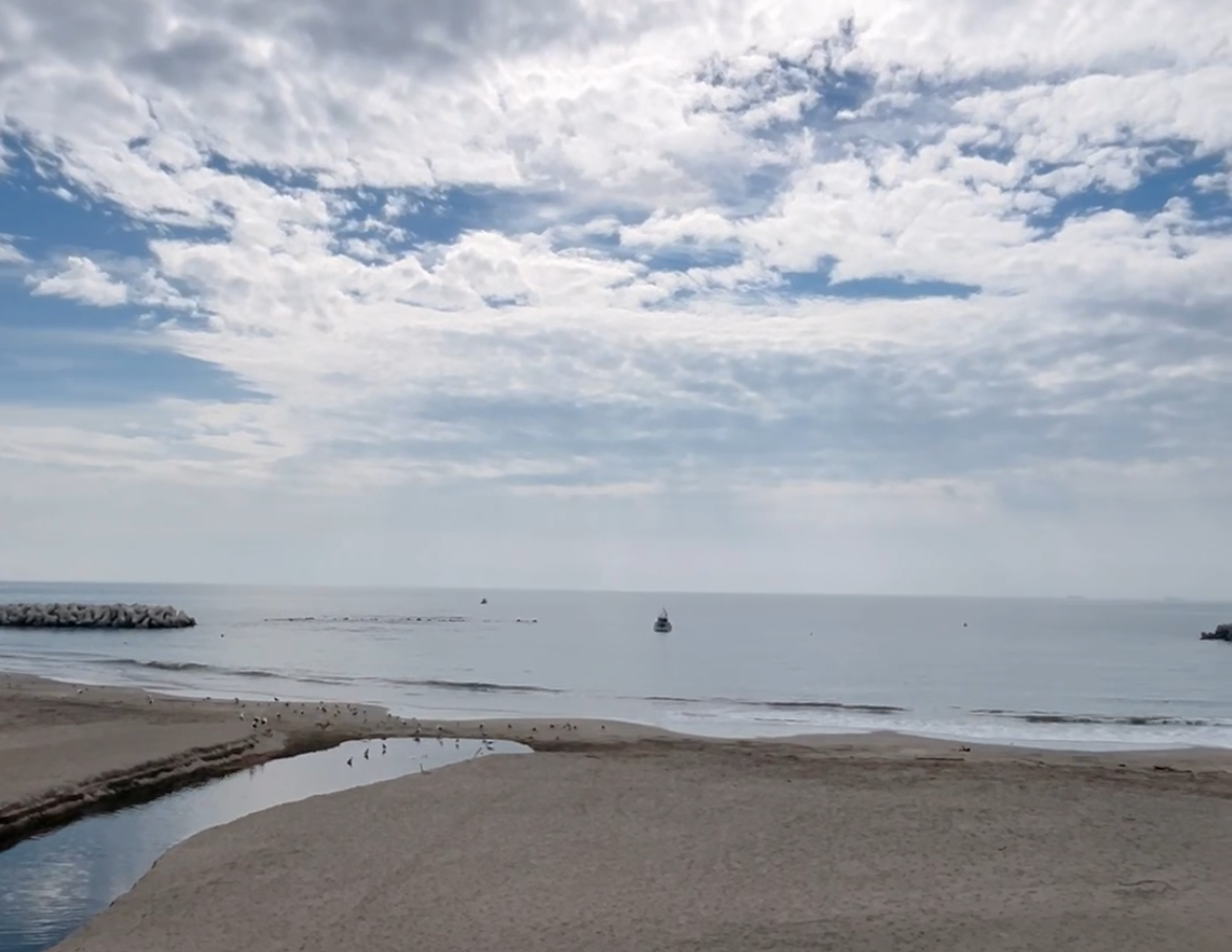 宮城県菖蒲田浜海水浴場