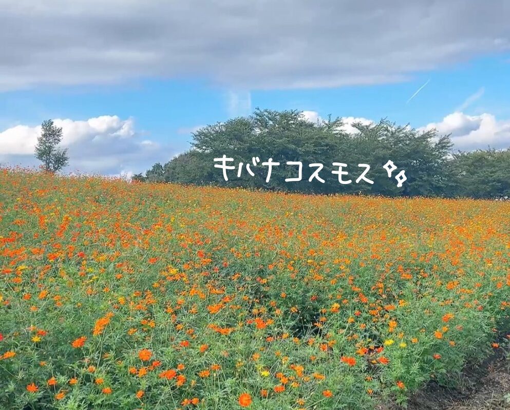 宮城加美町やくらいガーデン