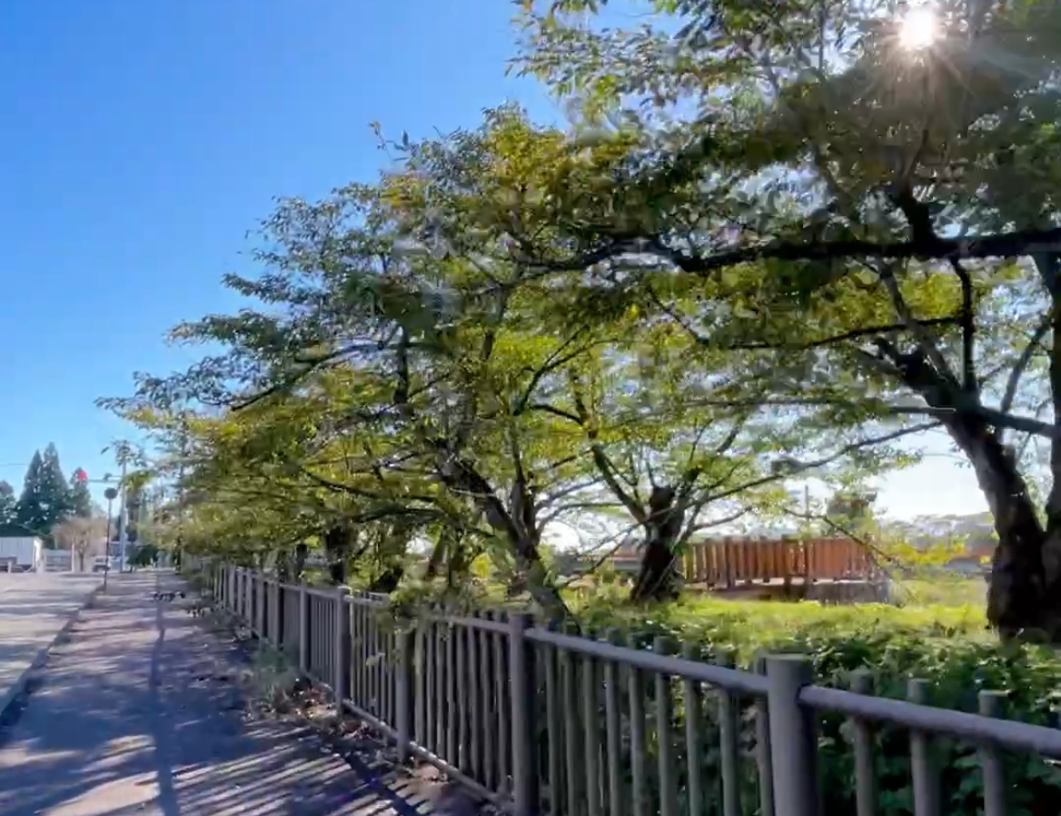 秋田ランニングコース　角館　東北旅ラン