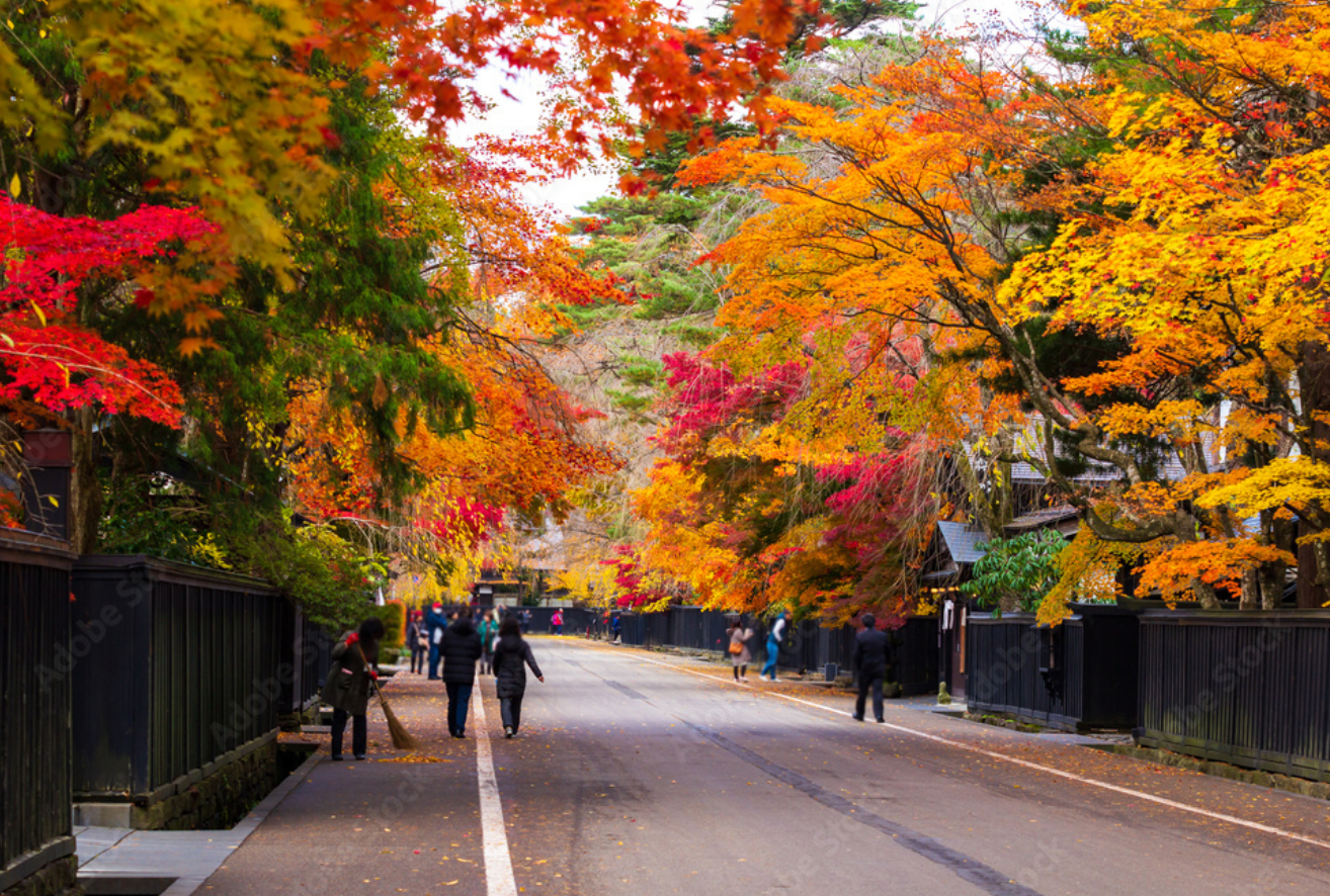 角館の紅葉