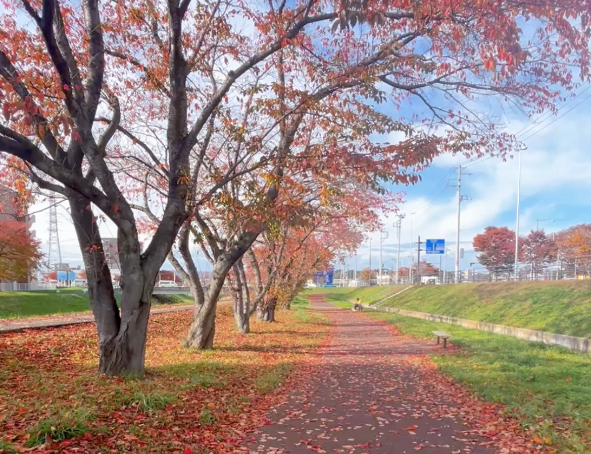 仙台長町ランニングコース　富沢駅