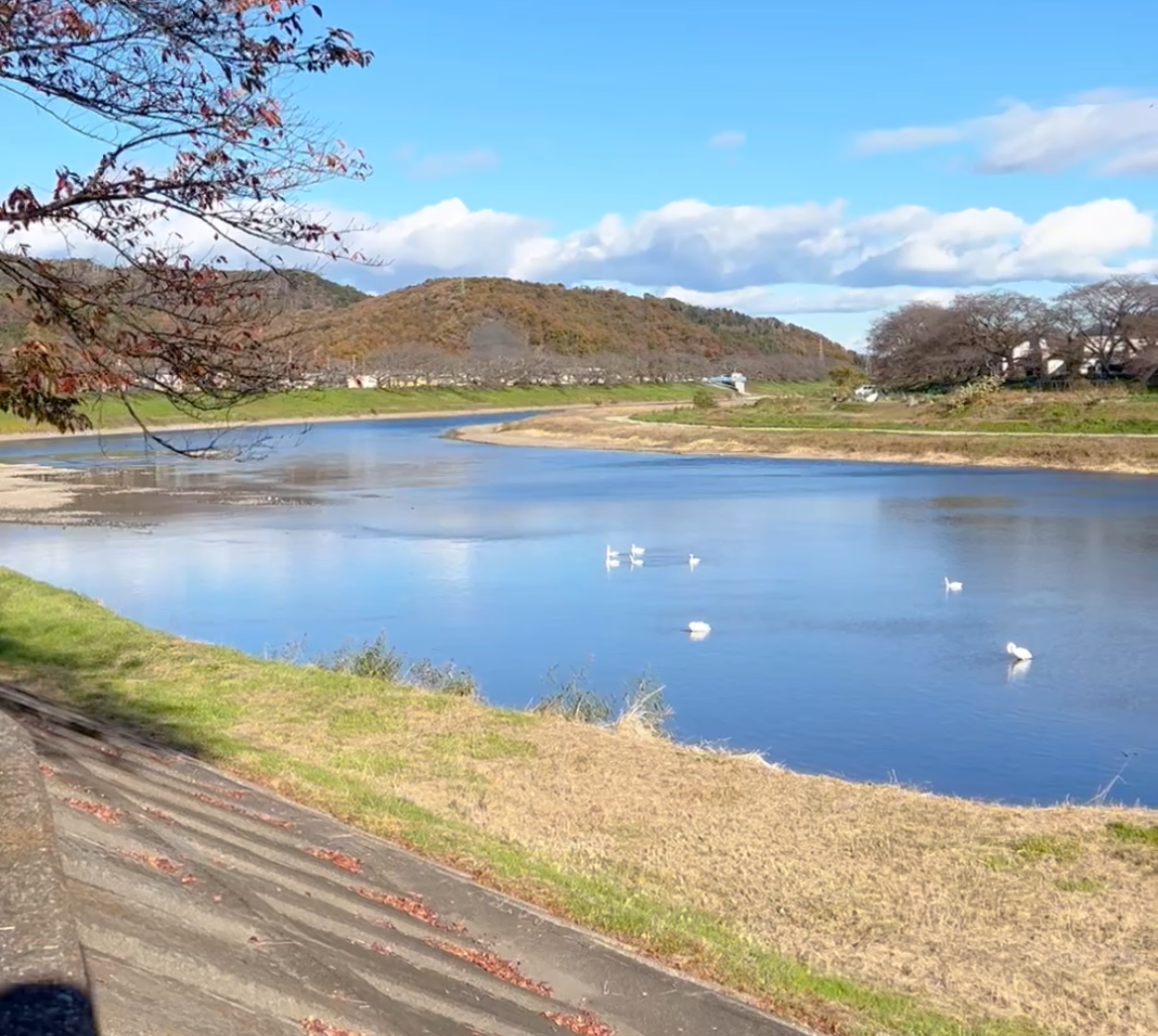 30km走ランニングコース　船岡城址公園