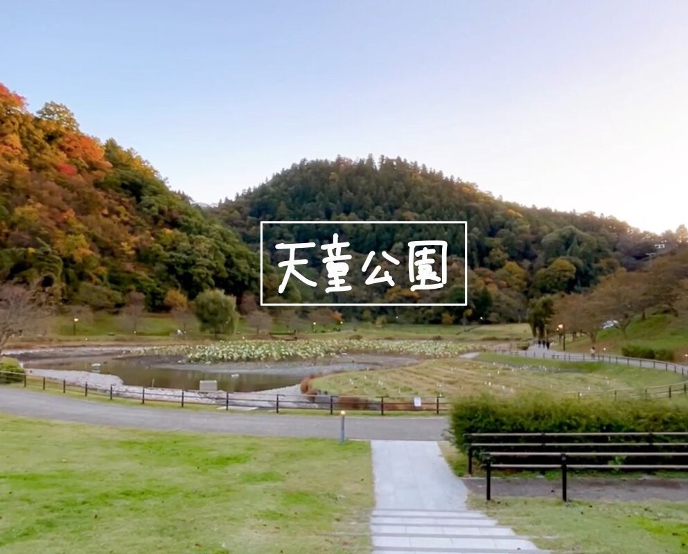 山形県天童市観光スポット天童公園