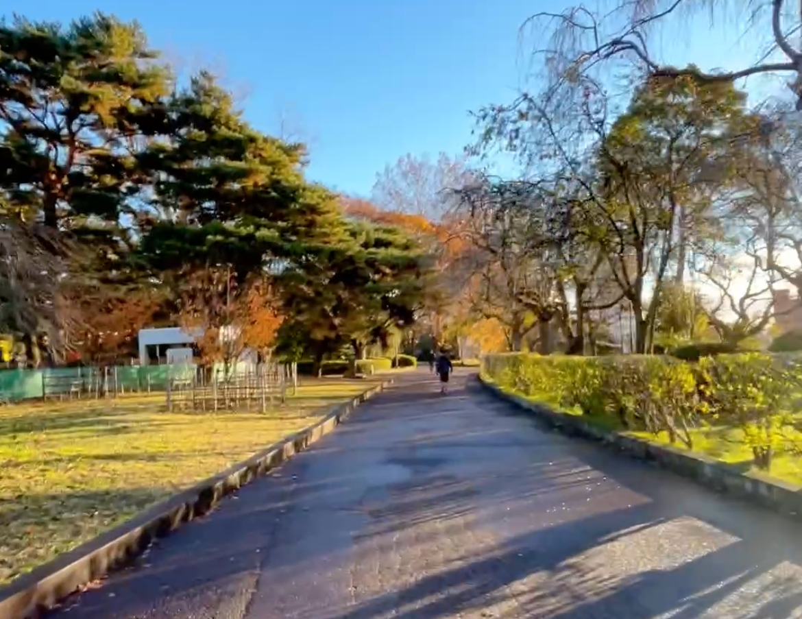 仙台ランニングコース　榴岡公園