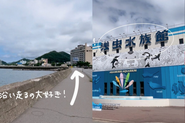 青森浅虫旅ラン